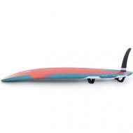 FANATIC Gecko LTD 2022