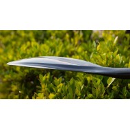 STARBOARD LIMA PREPREG CARBON S35 29MM 2023